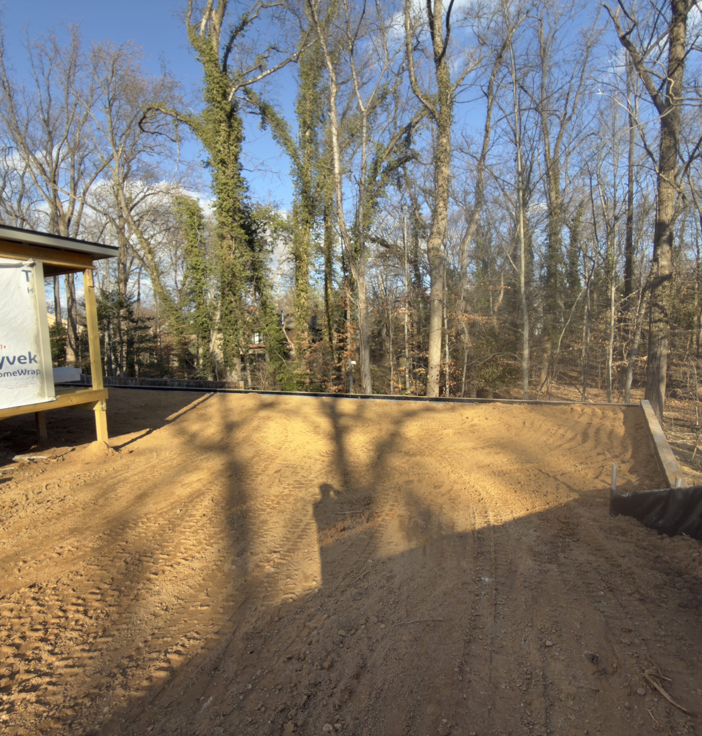 The eastern exposure hitting the back of the lot. This is the light your kitchen wakes up to.