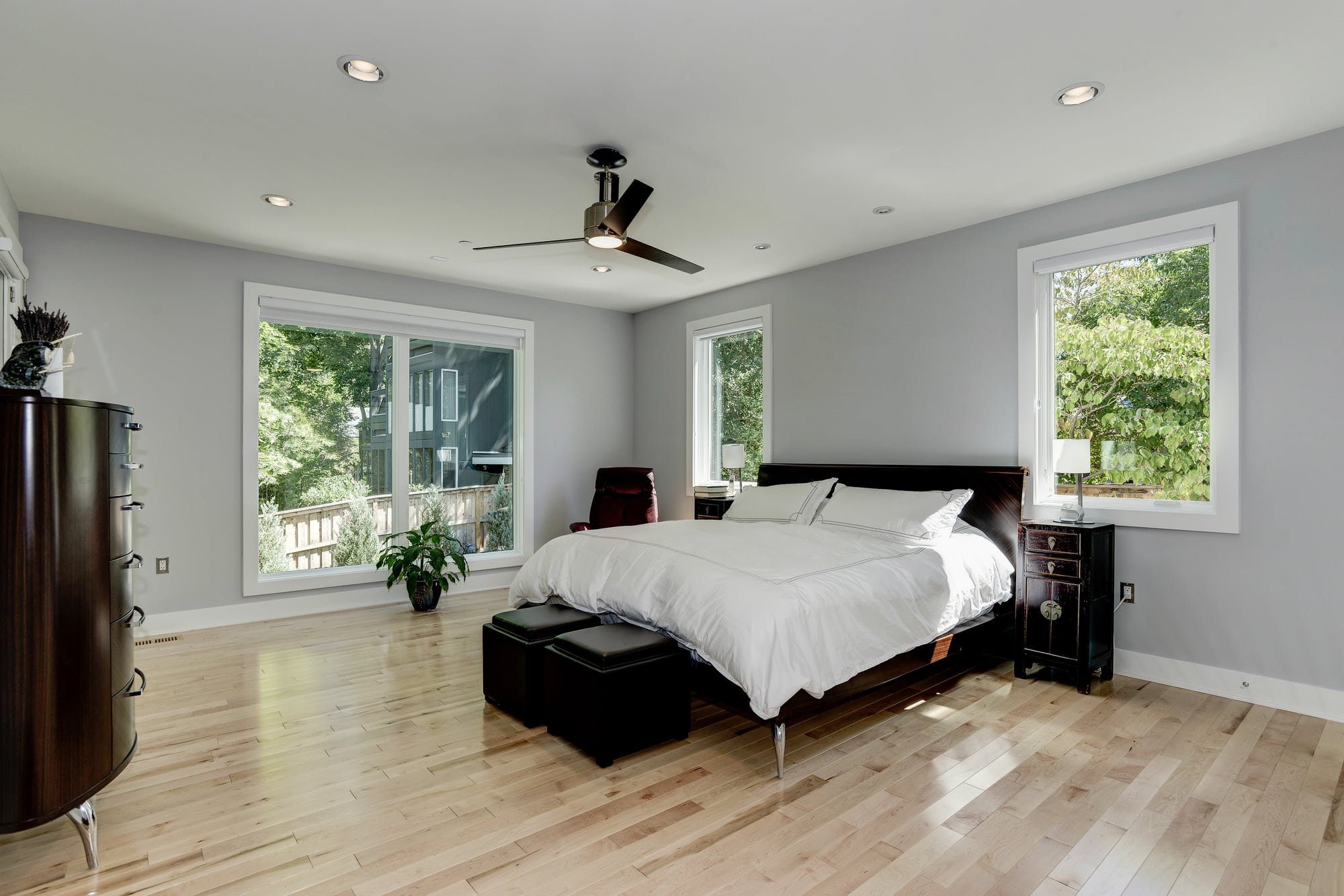 Treetop light fills the room